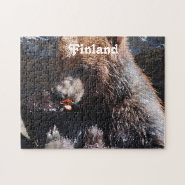 Braunbär in Finnland (Horizontal)