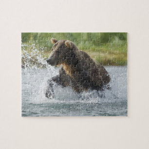 Braunbär jagt Lachs im Fluss