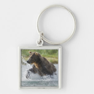 Braunbär jagt Lachse im Fluss Schlüsselanhänger