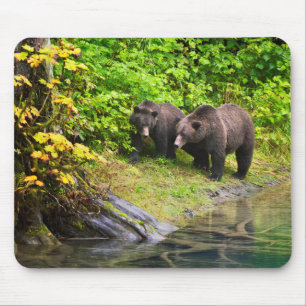 Braunbär & Jungtier   Hyder, Alaska Mousepad
