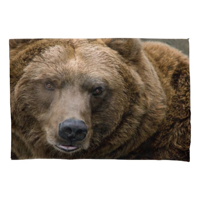 Braunbär Kissenbezug (Vorderseite)