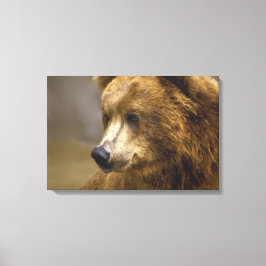 Braunbär Leinwanddruck