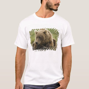 Braunbär, oder Küsten-Grizzlybär, Ursus T-Shirt