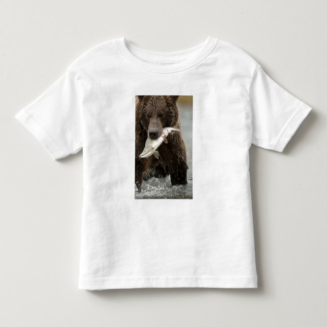 Braunbär oder Küstenbär, Ursus Kleinkind T-shirt (Vorderseite)