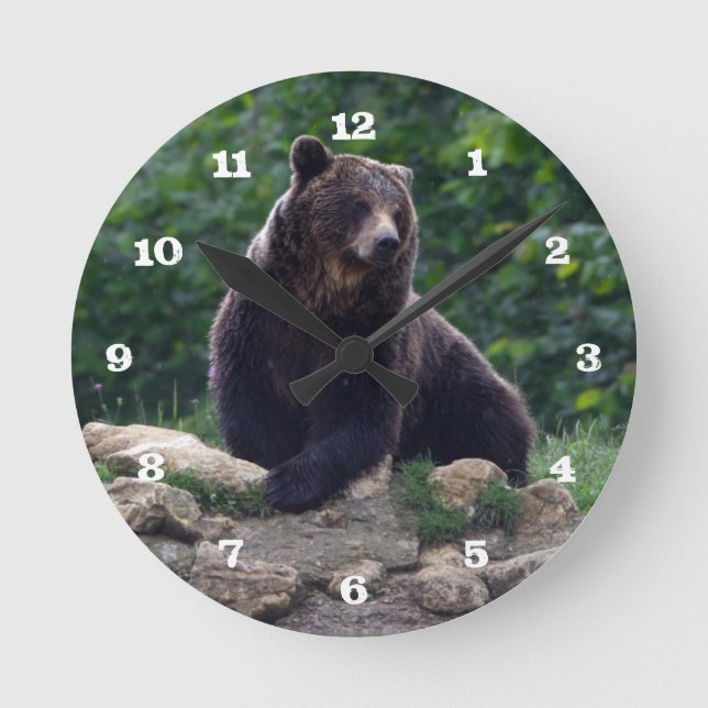 Braunbär Runde Wanduhr (Vorderseite)
