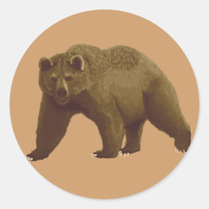 Braunbär Runder Aufkleber