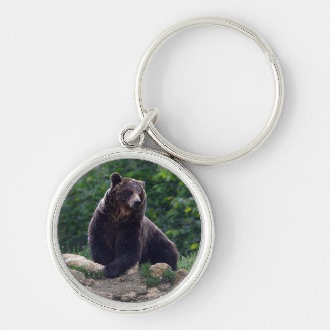 Braunbär Schlüsselanhänger (Vorne)