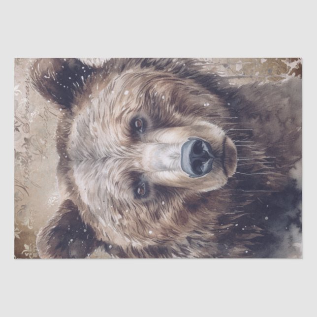 Braunbär Seidenpapier (Vorderseite)