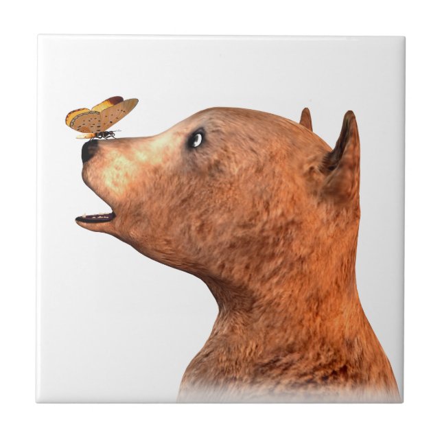 Braunbär und Schmetterling Fliese (Vorderseite)