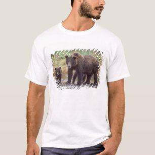 Braunbär, Ursus arctos, Grizzlybär, Ursus 3 T-Shirt