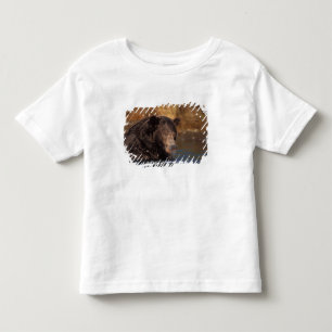 Braunbär, Ursus arctos, Grizzlybär, Ursus 5 Kleinkind T-shirt