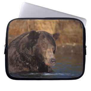 Braunbär, Ursus arctos, Grizzlybär, Ursus 5 Laptopschutzhülle