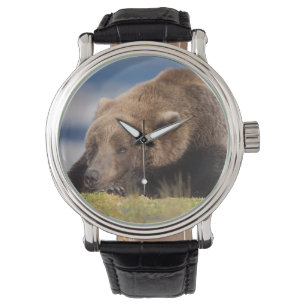 Braunbär, Ursus arctos, Grizzlybär, Ursus 8 Armbanduhr