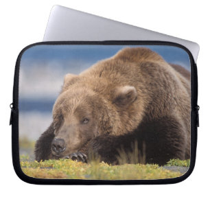 Braunbär, Ursus arctos, Grizzlybär, Ursus 8 Laptopschutzhülle