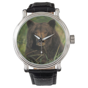 Braunbär, Ursus arctos, Grizzlybär, Ursus 9 Armbanduhr