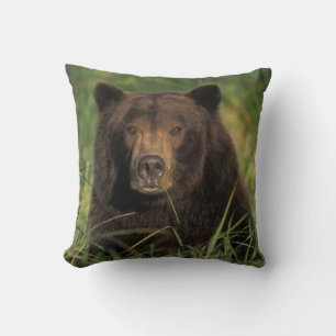 Braunbär, Ursus arctos, Grizzlybär, Ursus 9 Kissen