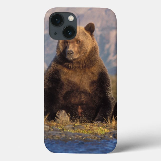 Braunbär, Ursus arctos, Grizzlybär, Ursus Case-Mate iPhone Hülle (Rückseite)