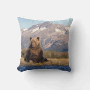 Braunbär, Ursus arctos, Grizzlybär, Ursus Kissen