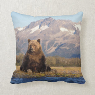 Braunbär, Ursus arctos, Grizzlybär, Ursus Kissen