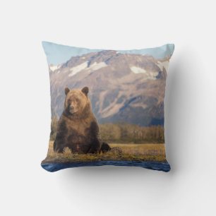 Braunbär, Ursus arctos, Grizzlybär, Ursus Kissen