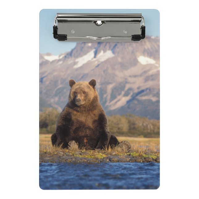 Braunbär, Ursus arctos, Grizzlybär, Ursus Mini Klemmbrett (Vorderseite)