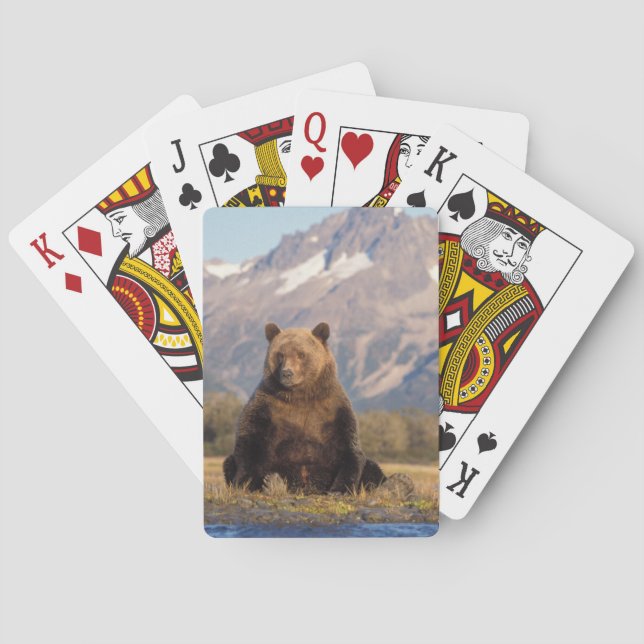 Braunbär, Ursus arctos, Grizzlybär, Ursus Spielkarten (Rückseite)