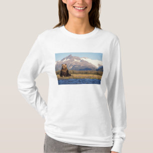 Braunbär, Ursus arctos, Grizzlybär, Ursus T-Shirt