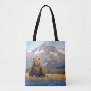Braunbär, Ursus arctos, Grizzlybär, Ursus Tasche
