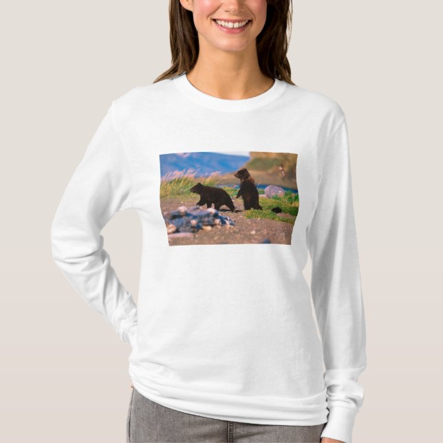 Braunbär, Ursus arctos, Halbinsel Alaska, T-Shirt (Vorderseite)