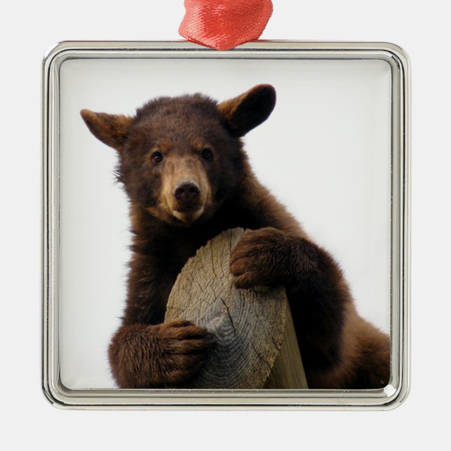 Braunbär-Weihnachtsverzierung Ornament Aus Metall (Vorne)