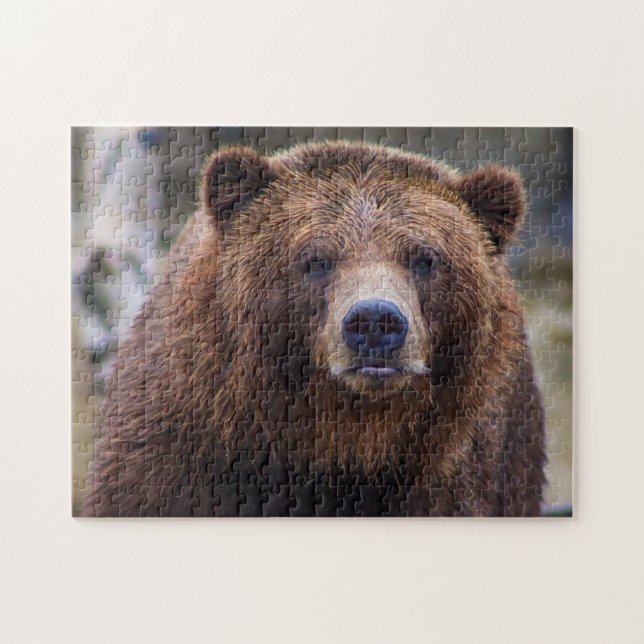 Braunbär Wild Grizzly Forest Wald Naturlandschaft (Horizontal)