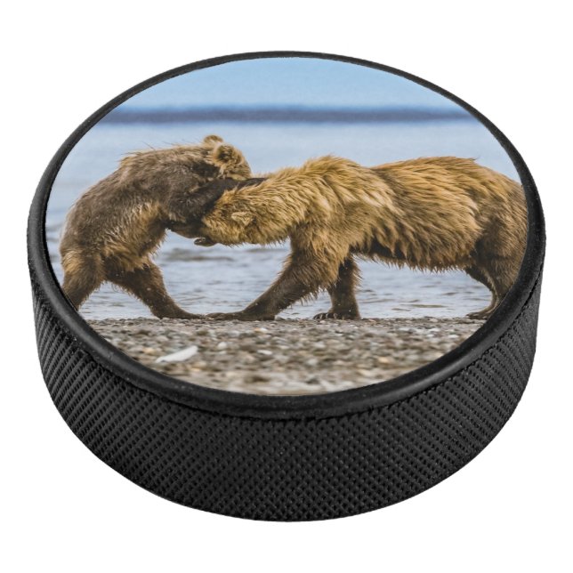 Braunbären Eishockey Puck (3/4)