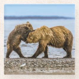 Braunbären Glasuntersetzer