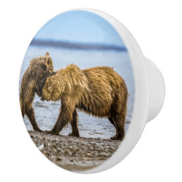 Braunbären Keramikknauf