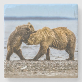 Braunbären Steinuntersetzer