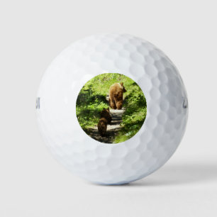 Braunbärenfamilie Golfball