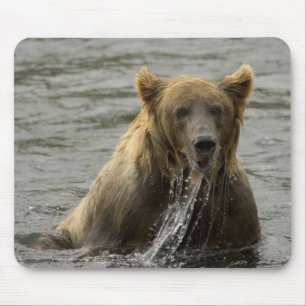 Braunbärenfisch Mousepad