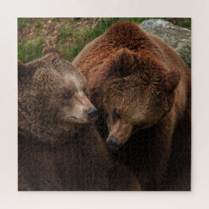 Braunbärenverkleidung bei Männern