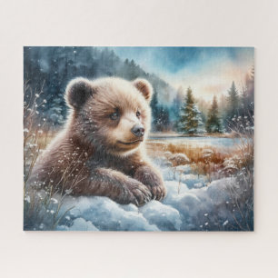 Braunbärjunges im Winterschnee und zwischen Kiefer