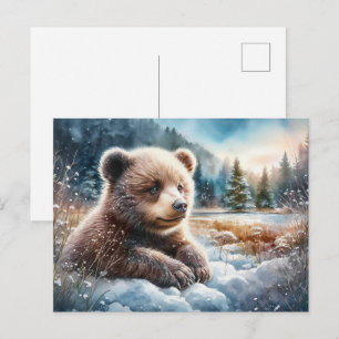 Braunbärjunges im Winterschnee und zwischen Kiefer Postkarte