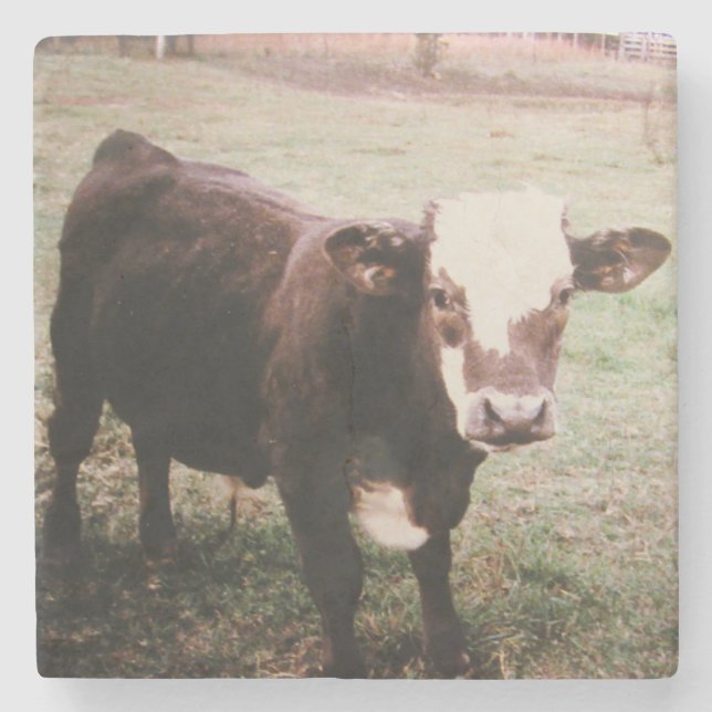 Brauncreme Steinuntersetzer (Vorderseite)