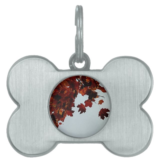 Braune Blätter Tiermarke (Vorderseite)