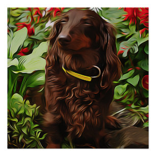 Braune Dackel im Garten mit Blume Poster