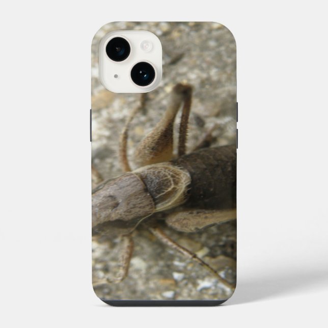 Braune Feldkrille iPhone Hülle (Rückseite)