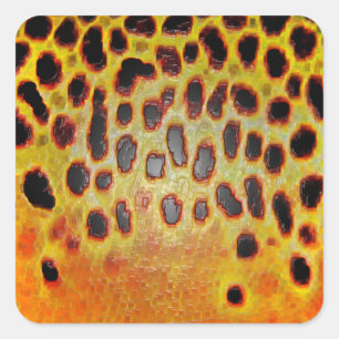 Braune Forellen - Aufkleber