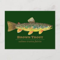 Braune Forellen-Ichthyologie