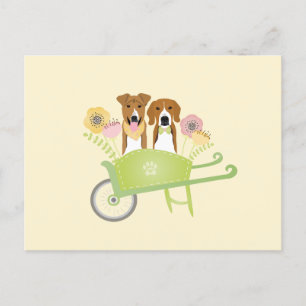 Braune Hunde in Schubkarren Frühlingsblumen Postkarte