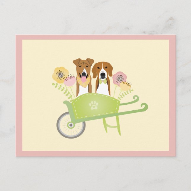 Braune Hunde in Schubkarren Frühlingsblumen Postkarte (Vorderseite)
