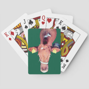 Braune Kuh Spielkarten