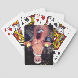 Braune Kuh Spielkarten